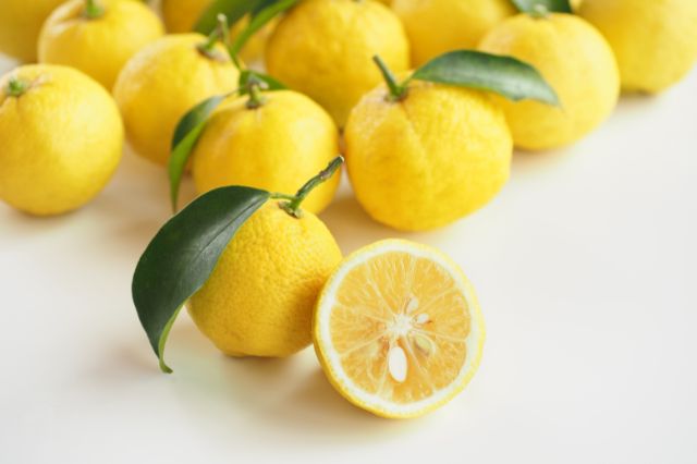 japanese natural skin care indgredients