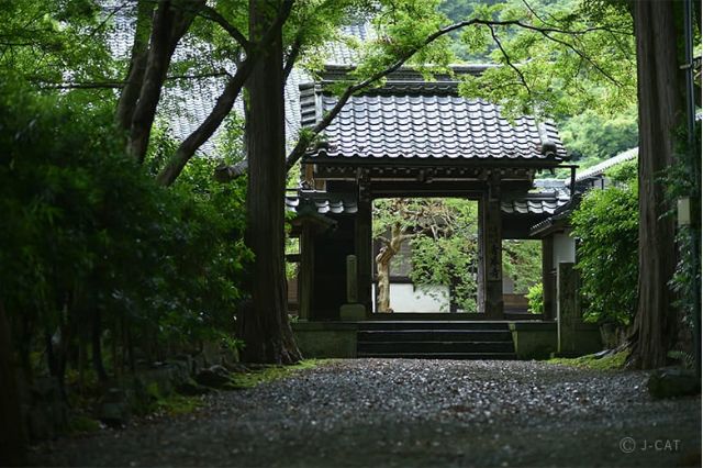 Stone pathway leading to the entrance gate of Seigan-ji Temple surrounded by lush greenery in Shiga, Japan.
