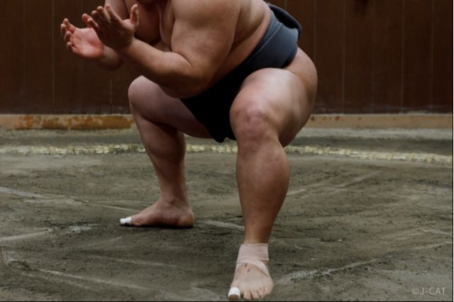 Sumo wrestler training session observed up close in Tokyo