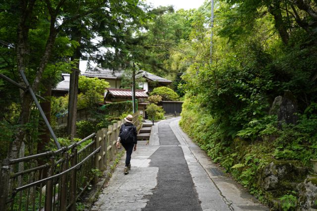 Walking trail in Mt Mitake area of Tokyo’s Okutama mountains, part of a guided nature retreat experience