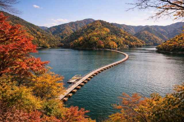 Floating bridge crossing Lake Okutama surrounded by autumn foliage and mountains in western Tokyo